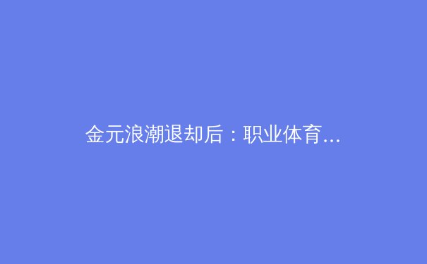 金元浪潮退却后：职业体育健康生态的构建与球迷文化的理性回归 - 2